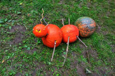 31 Ekim tatil Cadılar Bayramı günü.