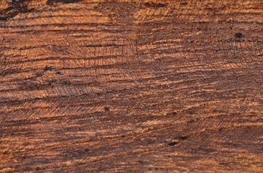 Ahşap dokusu arka plan, ahşap tahtalar