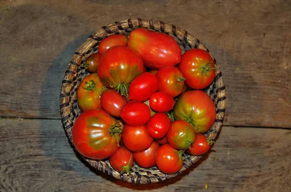 Tomates cherry frescos y albahaca en un plato de madera sobre un fondo oscuro. Cosechando tomates —  Fotos de Stock