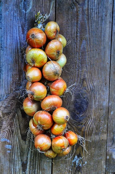 Cebollas bulbo amarillo tejidas en una corona — Foto de Stock