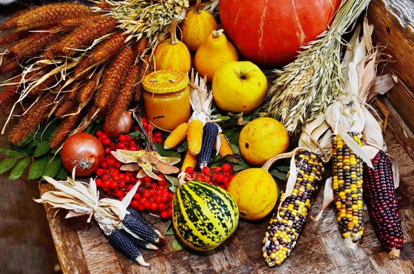 Récolte ou Thanksgiving fond avec des fruits et des gourdes automnales sur table en bois rustique — Photo