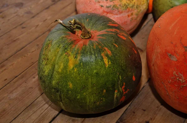 En hel del mini pumpa på utomhus jordbrukare marknaden — Stockfoto