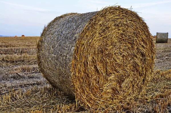 Campo com fardos de palha após a colheita em um céu nublado de fundo — Fotografia de Stock