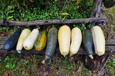 Pazar yerinde değişken renkli sebzeler.