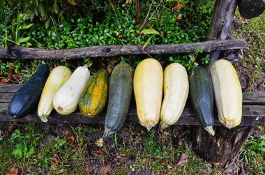 Pazar yerinde değişken renkli sebzeler.