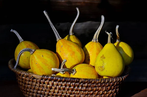 Calabazas pequeñas apiladas en una cesta — Foto de Stock