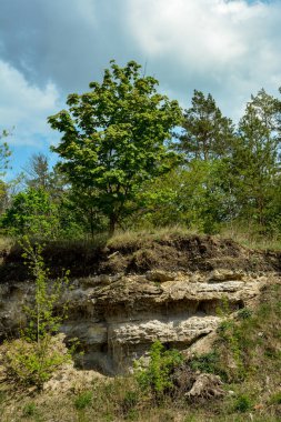 Terk edilmiş madencilik ve inşaat malzemeleri çukuru manzarası. Turist manzarası. Ukrayna.
