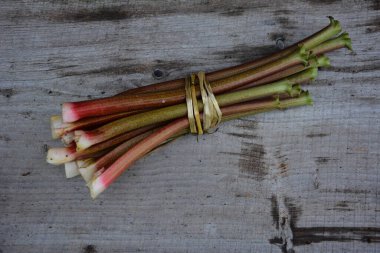 Rubarb 'ın kırmızı kökleri doğal bir arka planda. Rhubarb erken bahar vitamin ve diyet ürünleri.
