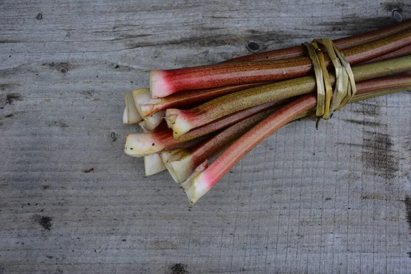Κόκκινοι Μίσχοι Του Rhubarb Φυσικό Φόντο Ραβέντι Πρώιμη Εαρινή Βιταμίνη — Φωτογραφία Αρχείου