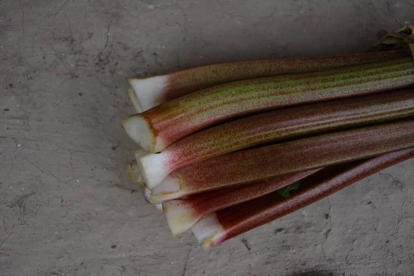 Rode Stengels Van Rabarber Een Natuurlijke Achtergrond Rabarber Vroege Lente — Stockfoto