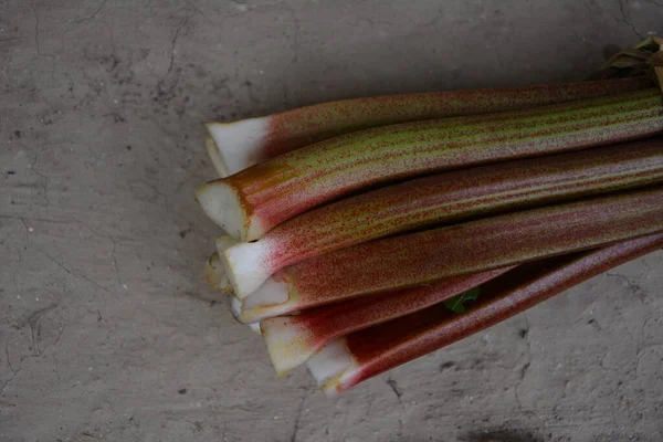 Rode Stengels Van Rabarber Een Natuurlijke Achtergrond Rabarber Vroege Lente — Stockfoto