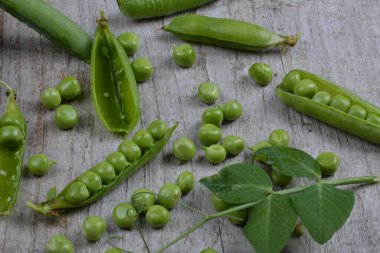 Ahşap arka planda taze bezelyeler. Yeşil bezelye ve bezelye kabukları ahşap bir yüzey üzerinde.