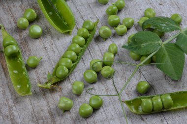 Ahşap arka planda taze bezelyeler. Yeşil bezelye ve bezelye kabukları ahşap bir yüzey üzerinde.