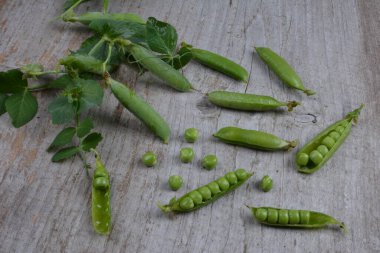 Ahşap arka planda taze bezelyeler. Yeşil bezelye ve bezelye kabukları ahşap bir yüzey üzerinde.