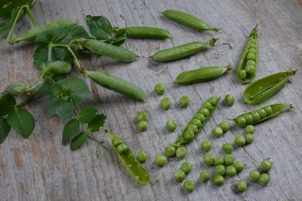 Fresh green peas on a wooden background. Top view.Pods of green peas and pea on a wooden surface
