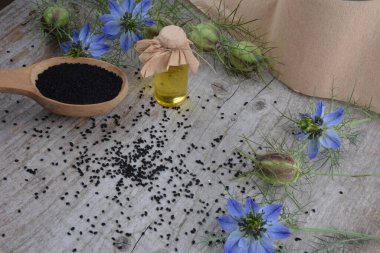 İlaç bitkisi Nigella sativa, siyah oyma, ayrıca siyah kimyon olarak da bilinir, nigella.