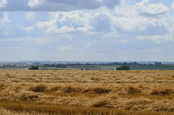 収穫後の畑収穫後の畑収穫中の畑の田園風景 — ストック写真