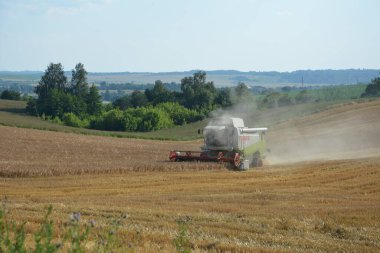 Ağustos. 2020 yılı. Rivne bölgesi. Zdolbunov. Ukrayna. Hasatçılar tarım ürünlerini hasat ediyor: buğday, çavdar, yulaf, arpa. Ağır hasat ekipmanlarıyla tarım arazisi..
