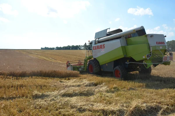 Augustus 2020 Rivne Regio Zdolbunov Oekraïne Oogsters Oogsten Landbouwgewassen Tarwe — Stockfoto