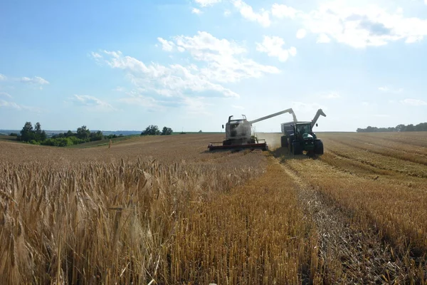 Augustus 2020 Rivne Regio Zdolbunov Oekraïne Oogsters Oogsten Landbouwgewassen Tarwe — Stockfoto