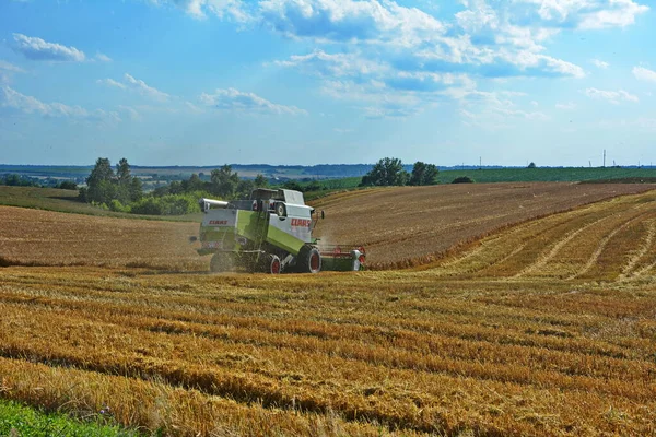 2020年 河岸地域 Zdolbunov ウクライナ 収穫者は農業作物を収穫する ライ麦 オート麦 — ストック写真