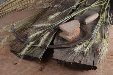 Ekmek, buğday kulakları ve ahşap bir tahtanın üzerinde eski bir orak. Bir avuç biçilmiş buğday kulağı ve el yapımı Orakçı kancası sapığı.