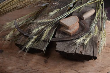 Ekmek, buğday kulakları ve ahşap bir tahtanın üzerinde eski bir orak. Bir avuç biçilmiş buğday kulağı ve el yapımı Orakçı kancası sapığı.