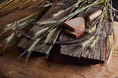 Ekmek, buğday kulakları ve ahşap bir tahtanın üzerinde eski bir orak. Bir avuç biçilmiş buğday kulağı ve el yapımı Orakçı kancası sapığı.