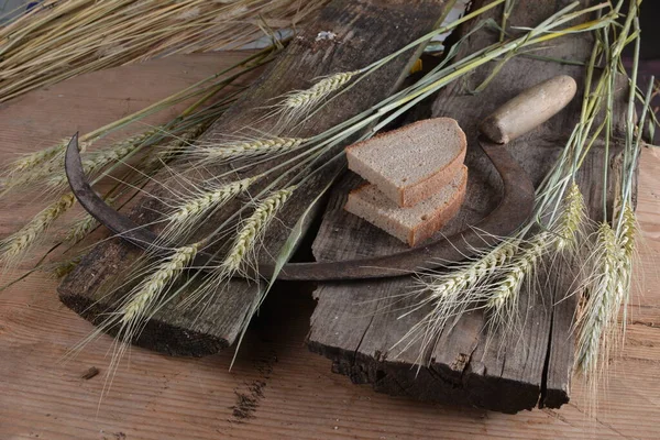 Ekmek, buğday kulakları ve ahşap bir tahtanın üzerinde eski bir orak. Bir avuç biçilmiş buğday kulağı ve el yapımı Orakçı kancası sapığı.