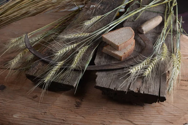 Ekmek, buğday kulakları ve ahşap bir tahtanın üzerinde eski bir orak. Bir avuç biçilmiş buğday kulağı ve el yapımı Orakçı kancası sapığı.