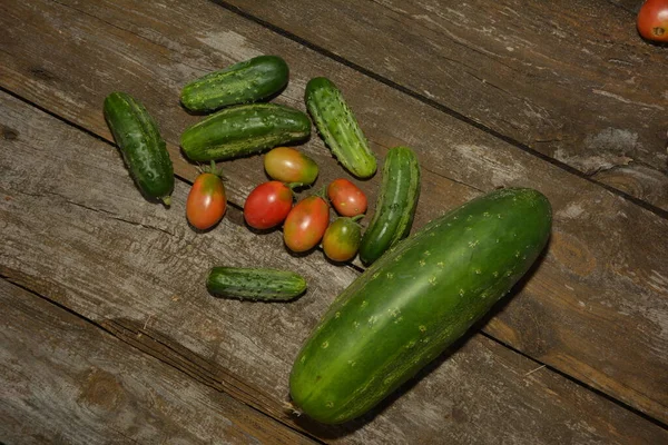 Légumes Frais Sur Fond Bois Tomates Concombres Sur Fond Bois — Photo