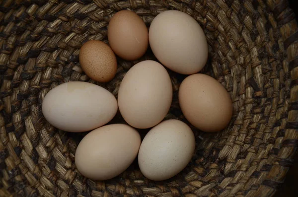 干し草の背景に多くの卵があります トップビュー わらの巣の新鮮な鶏の卵 素朴な背景にバスケットに無料の範囲の卵 — ストック写真