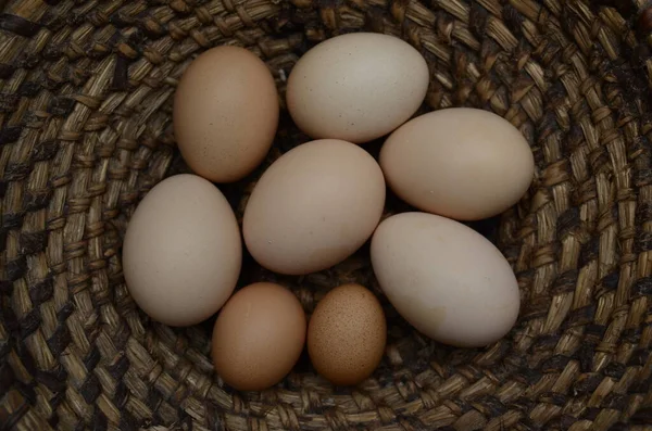 Veel Eieren Liggen Achtergrond Van Hooi Bovenaanzicht Verse Kippeneieren Stro — Stockfoto