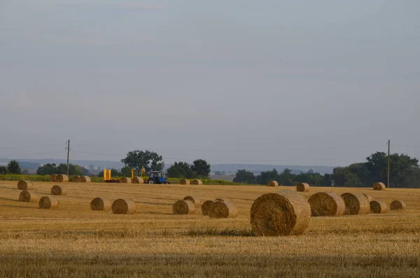 Harvested Barley Field Straw Baled Large Bales — Stock Photo, Image