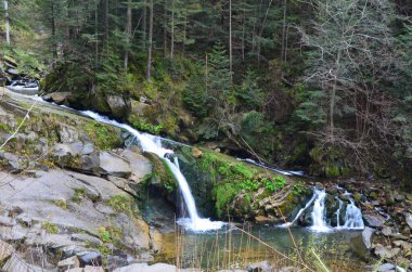 Sonbahar şelalesi nehir manzarası. Sonbaharda şelale. Sonbahar şelalesi yaprakları. Sonbahar şelalesi yaprakları