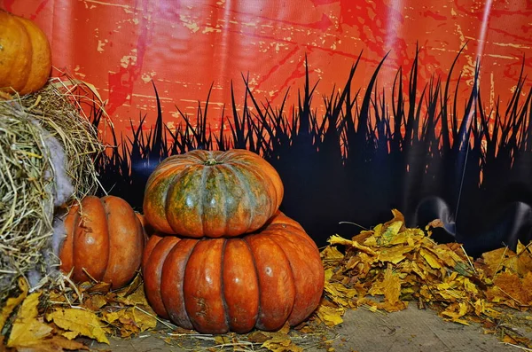 Jack Lantern Halloween Kürbis Spinnen Netz Und Rituelle Kürbisfiguren — Stockfoto