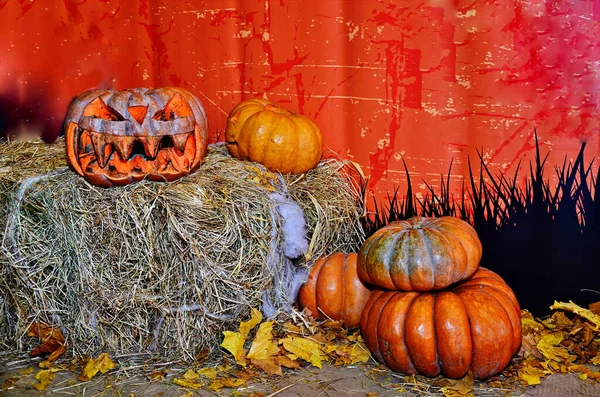 Jack Lantern Halloween Kürbis Spinnen Netz Und Rituelle Kürbisfiguren — Stockfoto