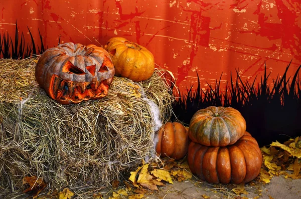 Jack Lantern Halloween Kürbis Spinnen Netz Und Rituelle Kürbisfiguren — Stockfoto