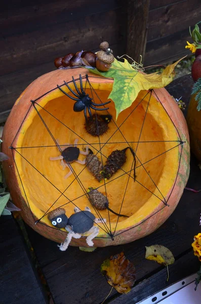 Jack Lanterne Halloween Citrouille Araignées Sur Net Figurines Citrouille Rituelles — Photo