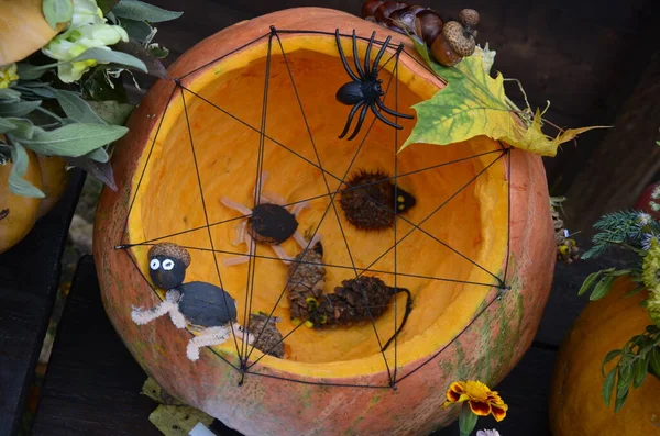 Jack Lanterne Halloween Citrouille Araignées Sur Net Figurines Citrouille Rituelles — Photo