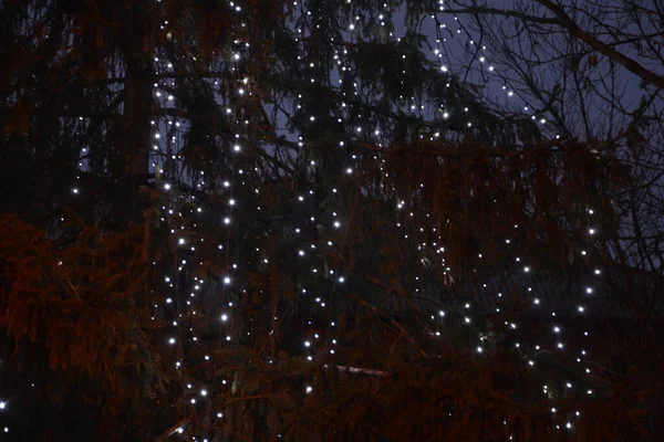 Juldekorationer Gatan Färgglada Semester Bokeh Lampor Stad Natt Belysning Abstrakt — Stockfoto