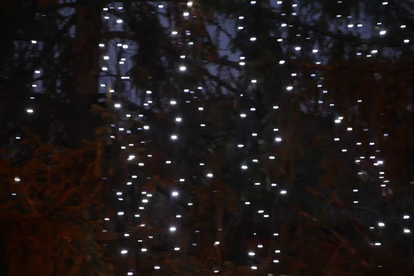 Juldekorationer Gatan Färgglada Semester Bokeh Lampor Stad Natt Belysning Abstrakt — Stockfoto