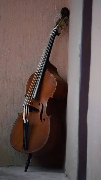 odanın köşesinde kahve renkli Kontrbas