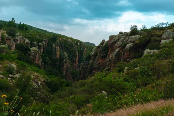 Paisaje Montañas Llenas Árboles Verdes Cielo Azul — Foto de Stock