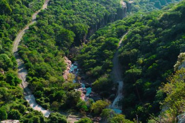 bir nehrin etrafında pek çok ağaç ve bir yol ile havadan görünümü
