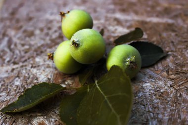Yapraklı güzel yeşil elmalar