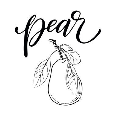 El çizimi armut ikonu. Broşürler, afişler, restoran menüsü ve pazar için eski mürekkep tarzında vektör rozet meyvesi