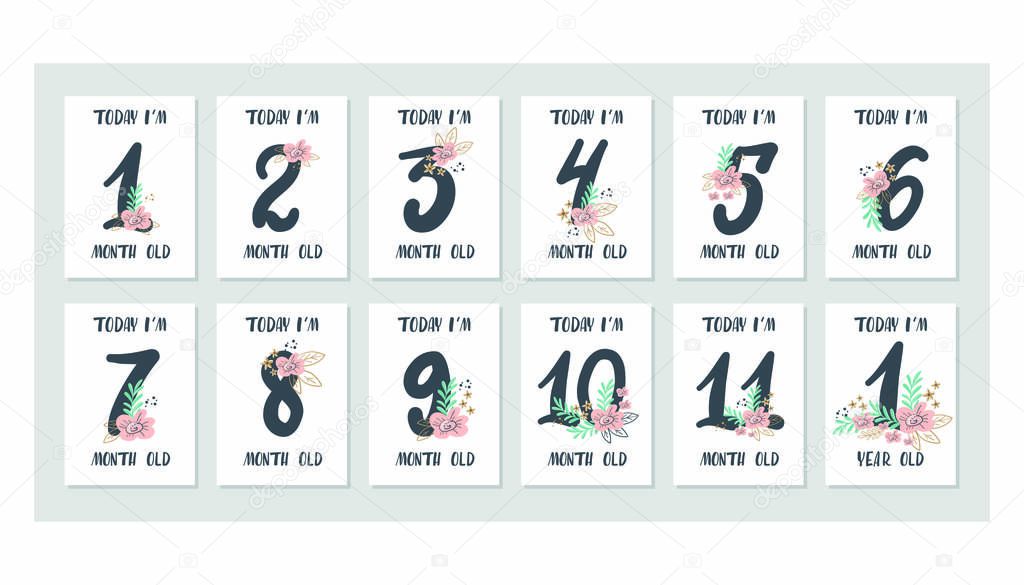 Baby milestone cards with flowers and numbers for newborn girl or boy. Baby shower print