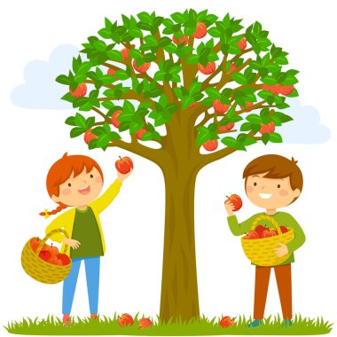 İki çocuk ağaçtan elma toplama.