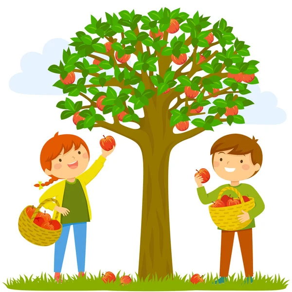 Dos Niños Recogiendo Manzanas Del Árbol — Vector de stock